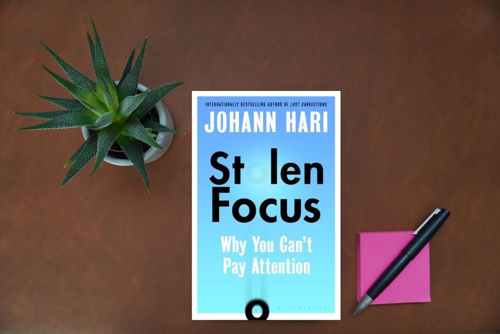Book Review 
